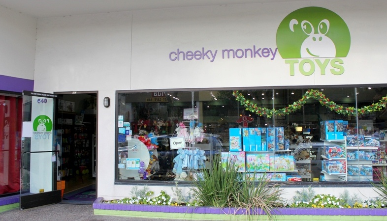 monkey puzzle toy store