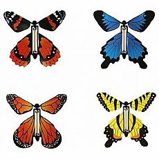 Wind-Up Butterfly
