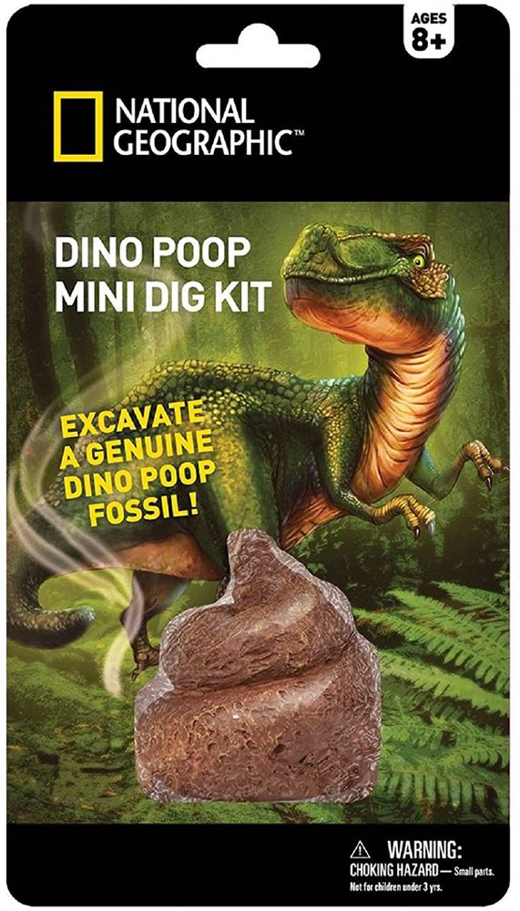 DINO POOP MINI DIG KIT w/ Dinosaur Fossil * National Geographic New Ages 8 