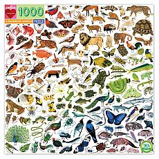 A Rainbow World 1000pc