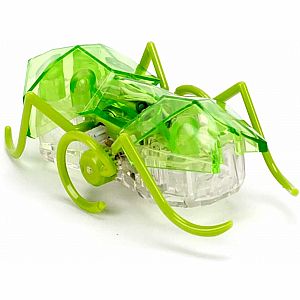 Micro Ant Hexbug 