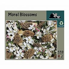 Morel Blossoms 550pc