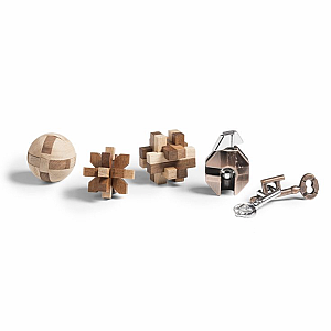 True Genius Mini Single Brainteasers Asst