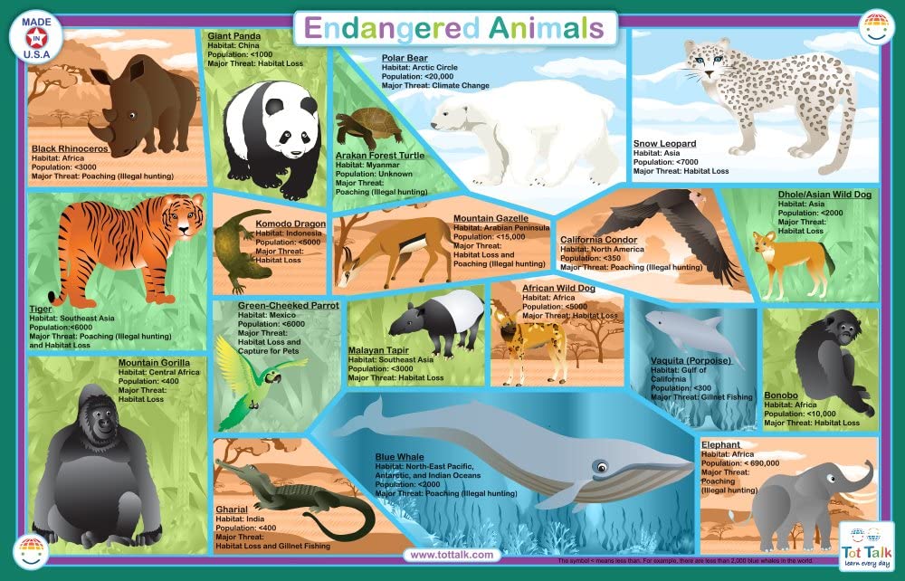Endangered Species Placemat - Cheeky Monkey Toys