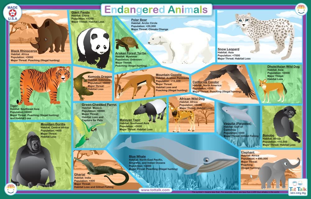 Endangered Species Placemat - Cheeky Monkey Toys Endangered Species Placemat - Cheeky Monkey Toys