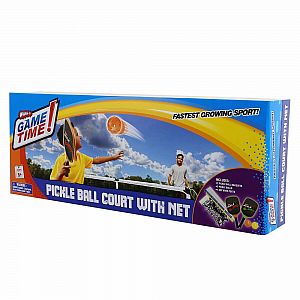 Pickle Ball Court with Net 
